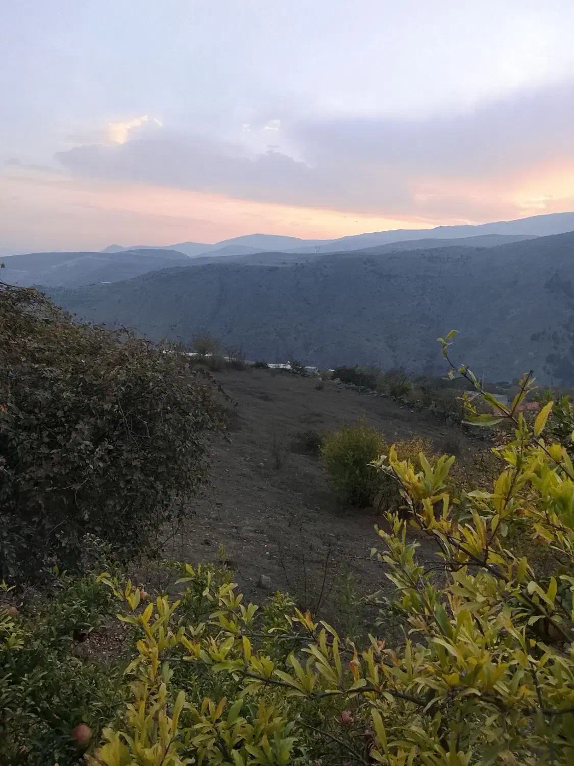 فروش زمین کشاورزی به شرط ساخت|فروش زمین و ملک کلنگی|ایزدخواست, |دیوار