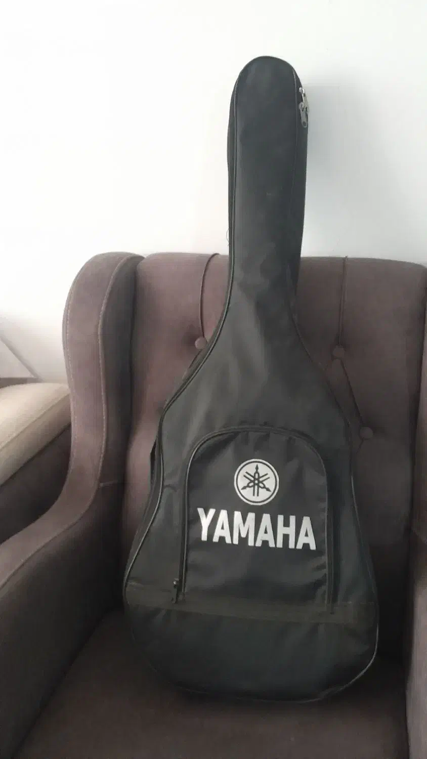 گیتار دالاهو|گیتار، بیس، امپلیفایر|قرچک, محمد آباد|دیوار