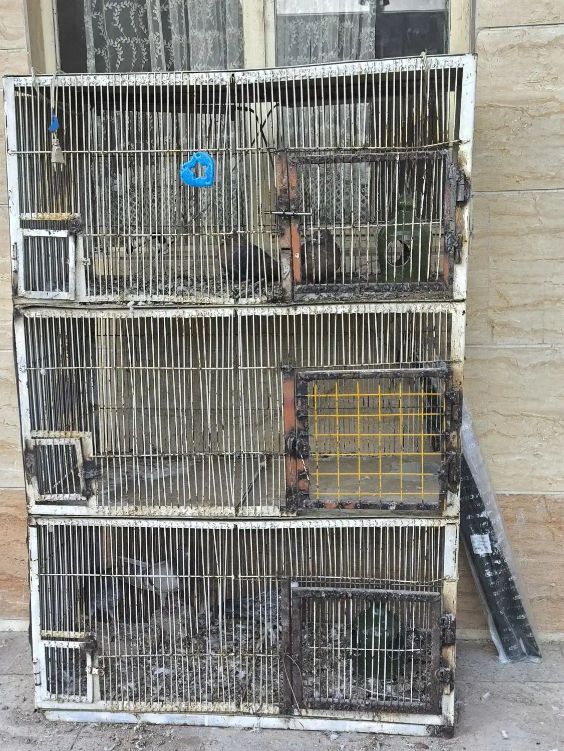 قفس جفتی پرنده|لوازم جانبی حیوانات|الوند, |دیوار