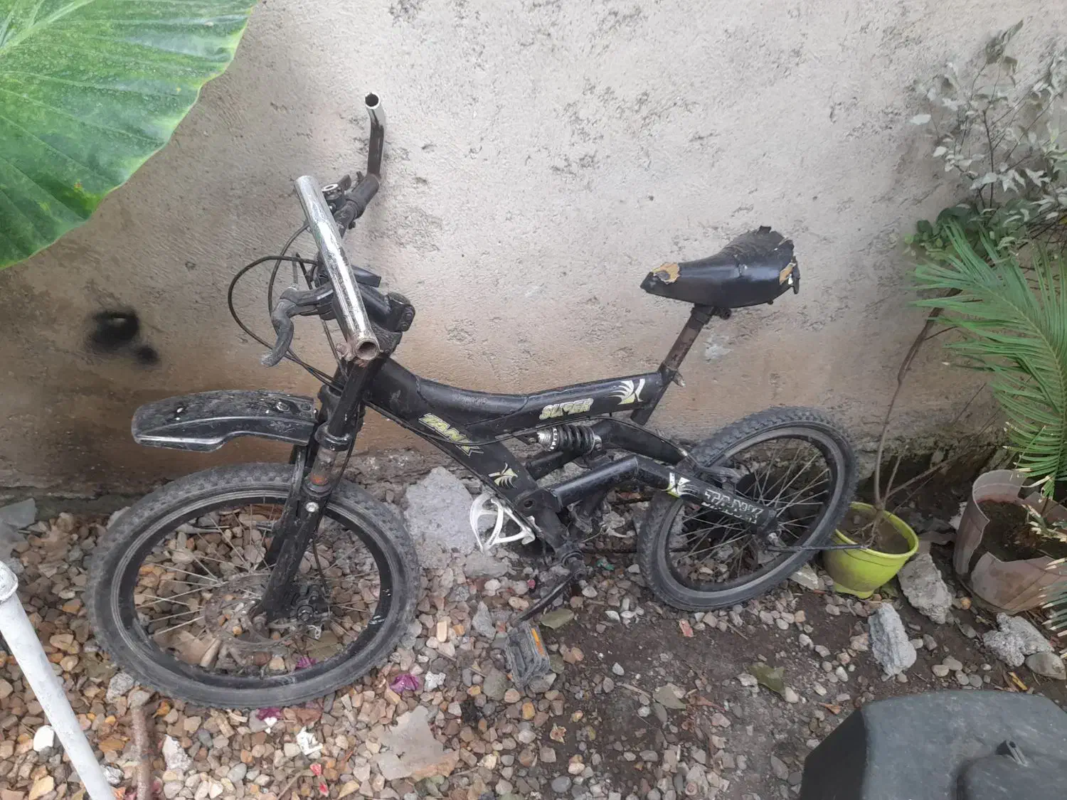 دوچرخه|دوچرخه، اسکیت، اسکوتر|رانکوه, |دیوار