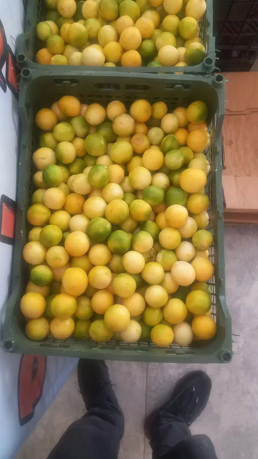 آبلیمو وآبغوره گیری مهدی|خوردنی و آشامیدنی|مشهد, هنرستان|دیوار