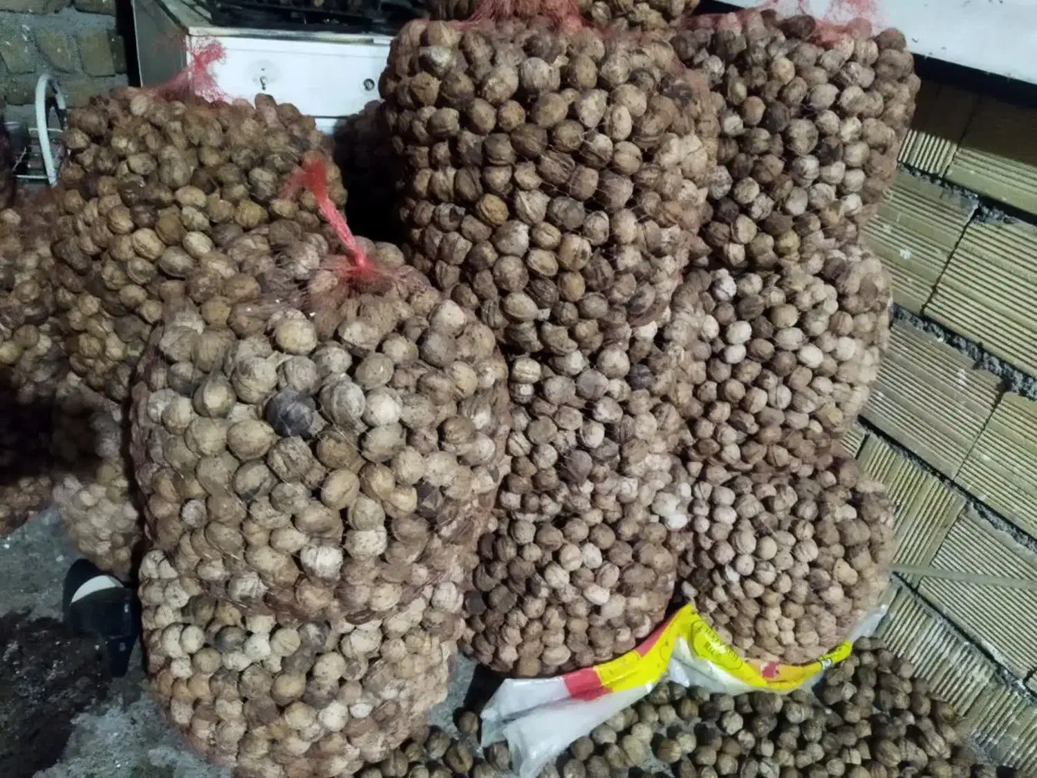گردو لرستان  الشتر|خوردنی و آشامیدنی|قم, سالاریه|دیوار
