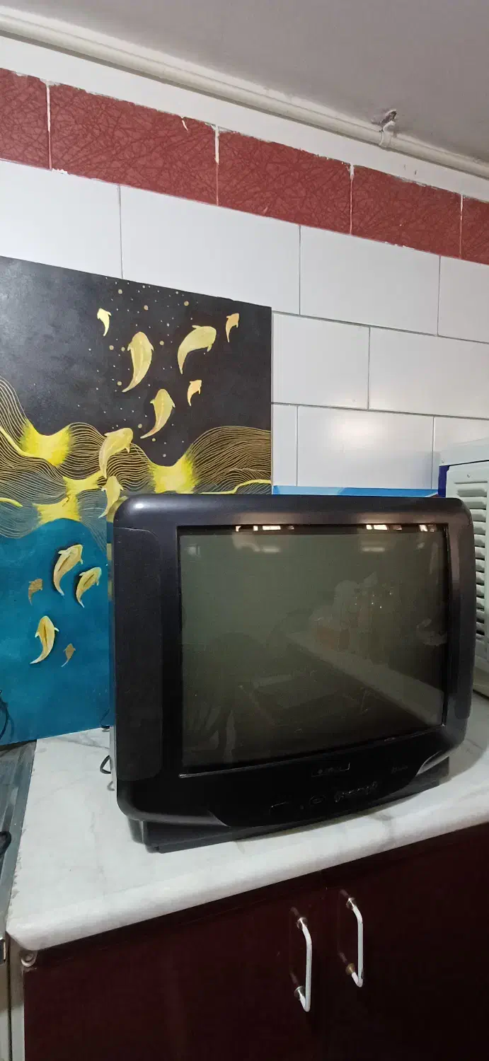 تلویزیون سالم ۲۱ اینچ اطلس|تلویزیون و پروژکتور|کرمان, |دیوار