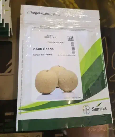 توزیع انواع بذرپیاز گوجه فرنکی هندوانه قیمت تعاونی|خدمات باغبانی و درختکاری|جیرفت, |دیوار