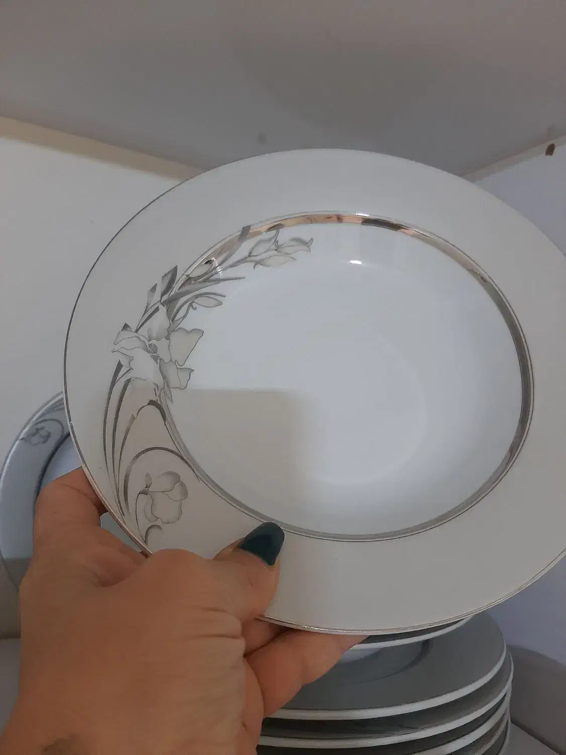 چینی ۱۲ نفره مقصود|ظروف سرو و پذیرایی|دماوند, گیلاوند|دیوار