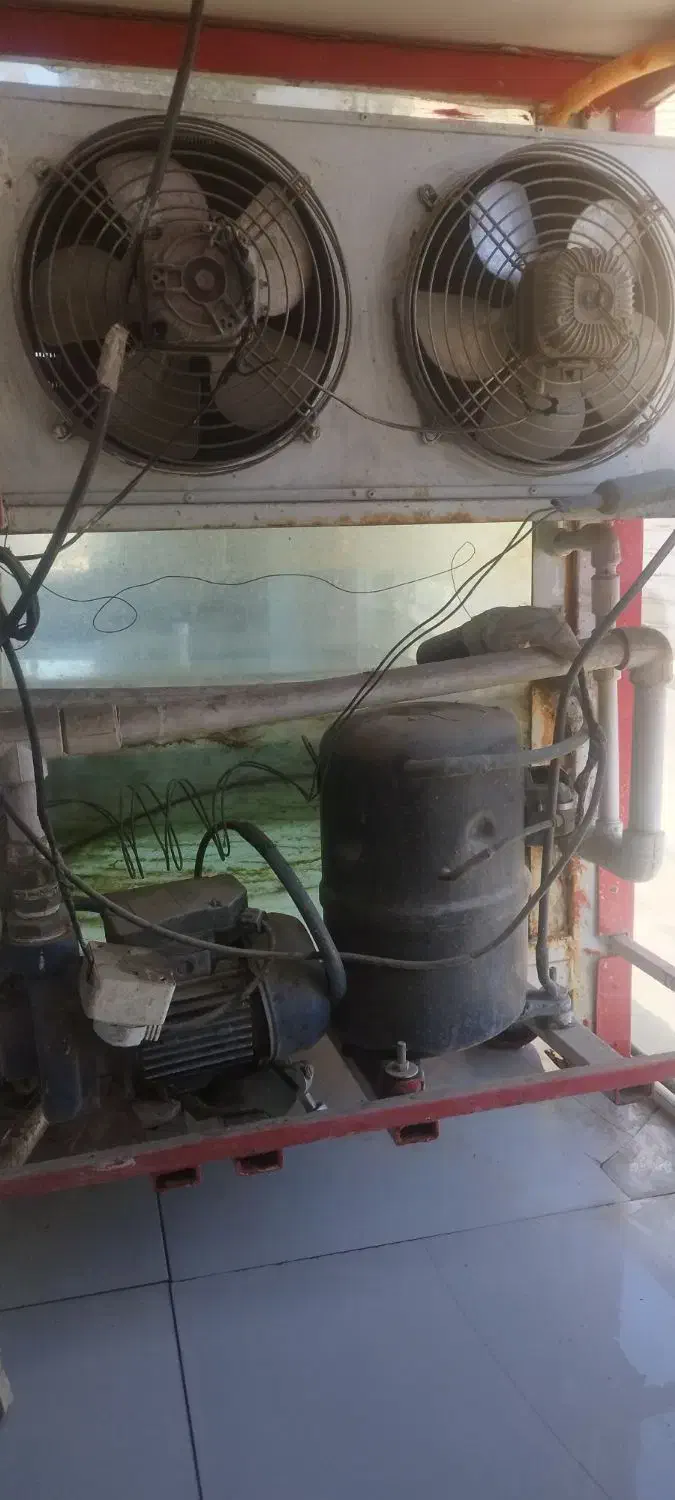 اکواریوم|ماهی|سنندج, |دیوار