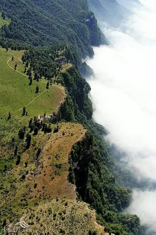 داوطلب طبیعتگردی|فعالیت داوطلبانه|عباسآباد, |دیوار