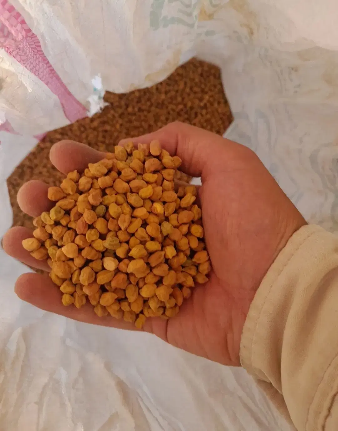 نخود|خوردنی و آشامیدنی|میانه, |دیوار
