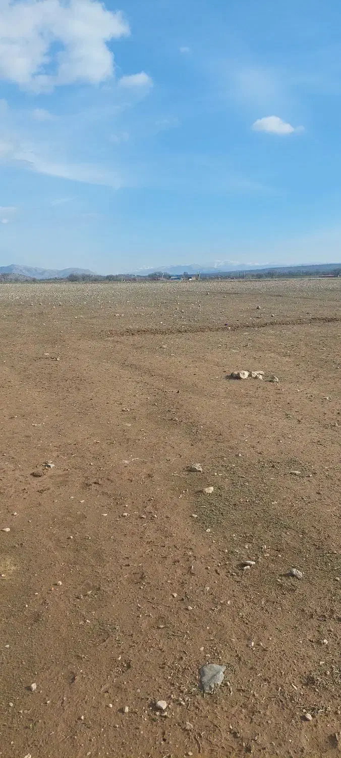 زمین|فروش زمین و ملک کلنگی|چگنی, |دیوار