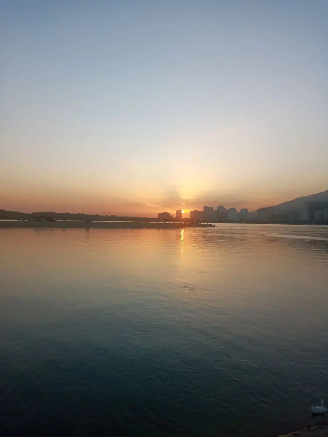 ۳۵ متر/ مغازه تجاری/ فلت پاخور خوب/ دریاچه باملند|اجارهٔ مغازه و غرفه|تهران, دریاچه شهدای خلیج فارس|دیوار