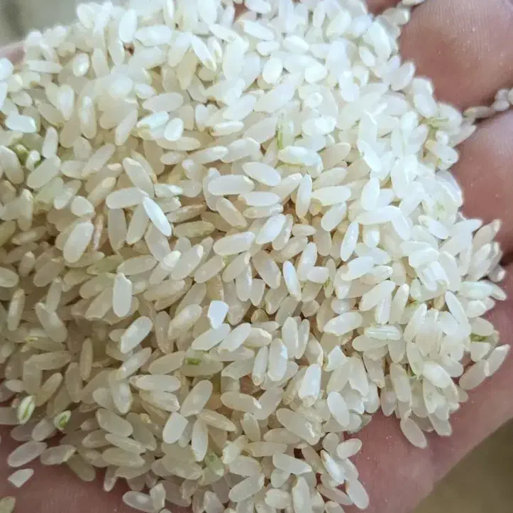 برنج کامفیروزی درجه یک بشرط|خوردنی و آشامیدنی|شیراز, طلاب|دیوار