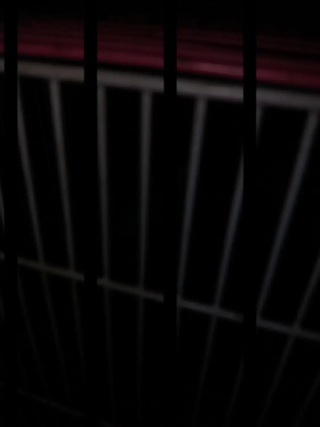 دوعدوچرخه ۲۰ و ۱۶|دوچرخه، اسکیت، اسکوتر|یاسوج, |دیوار