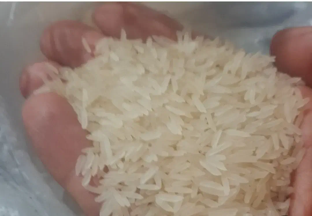 برنج پاکستانی ذوالفقار|خوردنی و آشامیدنی|اصفهان, شیخ اشراق|دیوار