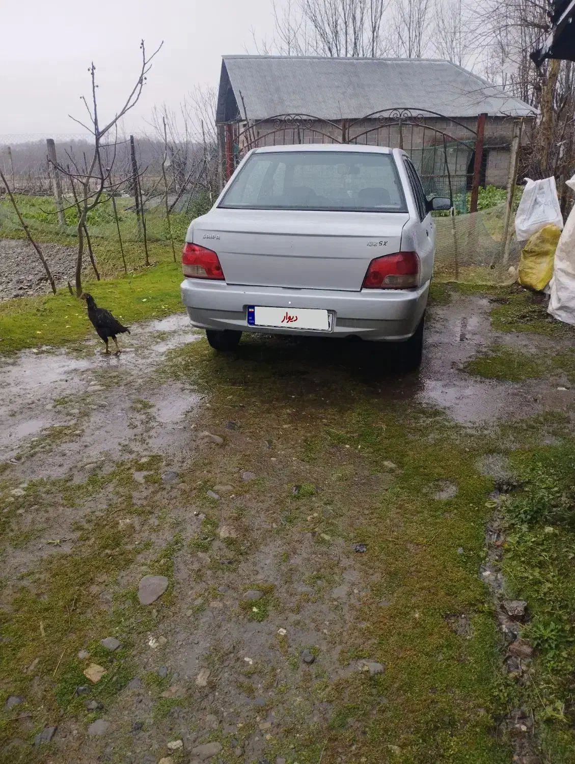 پراید ۱۳۲|خودرو سواری و وانت|رشت, سلیمانداراب|دیوار