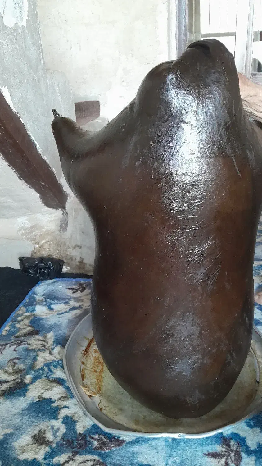 نگهدارنده|ظروف نگهدارنده، پلاستیکی، یک‌بارمصرف|اسلام‌‌آباد غرب, |دیوار