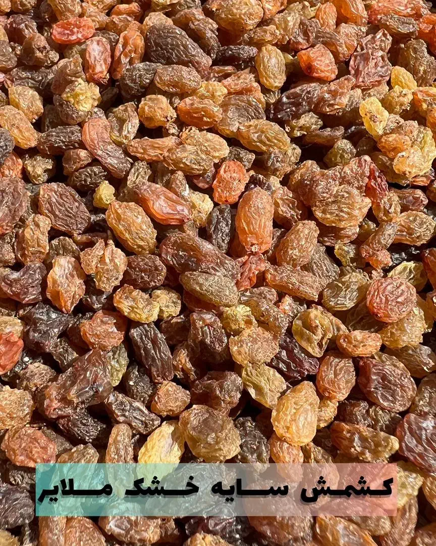 کشمش کاملا آفتابی و ارگانیک|خوردنی و آشامیدنی|تهران, شوش (باغ آذری)|دیوار