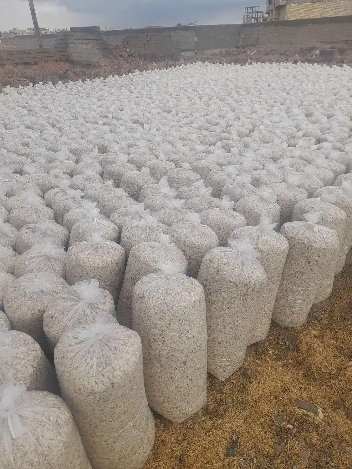 تفاله چغندر|لوازم جانبی حیوانات|چهاربرج, |دیوار