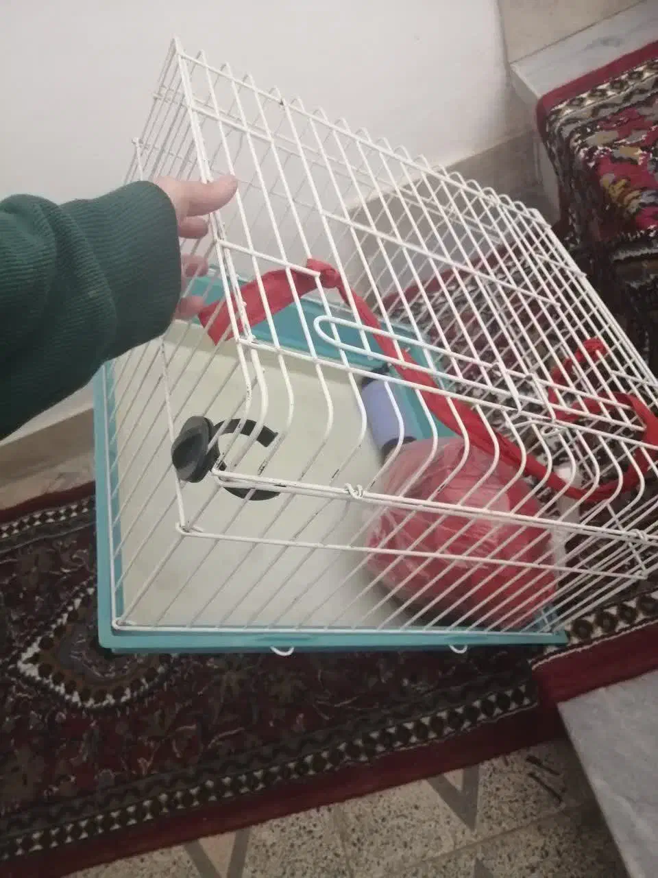 قفس|لوازم جانبی حیوانات|اصفهان, تخت فولاد|دیوار