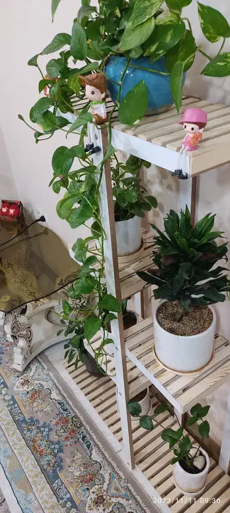 استند گل و گلدان|کتابخانه، شلف، قفسه‌های دیواری|جم, |دیوار