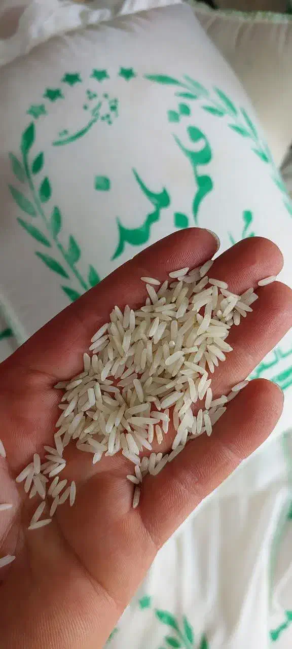 برنج کامفیروزی|خوردنی و آشامیدنی|شیراز, دروازه قران|دیوار