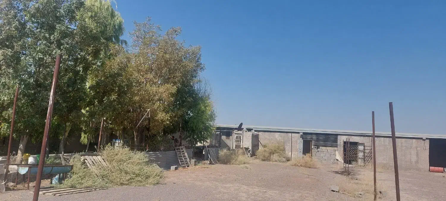 فروش زمین فرح اباد|فروش دفتر صنعتی، کشاورزی، تجاری|کرمان, |دیوار