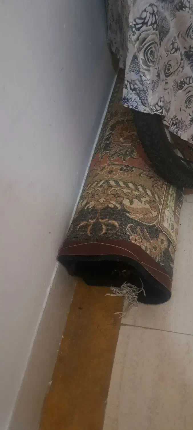 فرش ۱۲ متری|فرش|لاهیجان, شیشه گران|دیوار