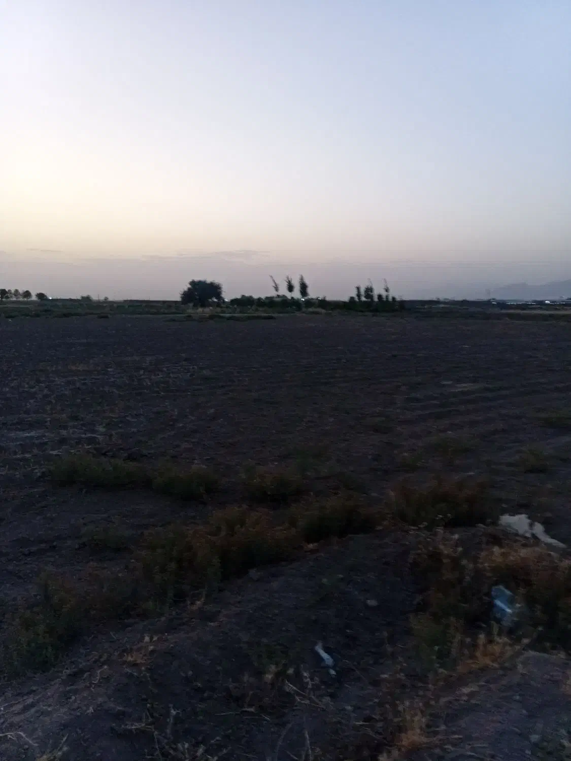 یک قطعه زمین به مساحت ۳۷۳۳متردارای آب ۶ دانگ|فروش زمین و ملک کلنگی|نظرآباد, نجم آباد|دیوار