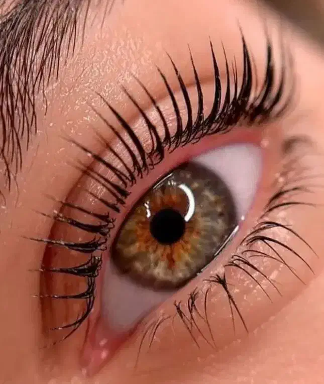 آموزش حرفه ای صفرتاصد لیفت فقط۹۹۹تومان تا یک هفته|خدمات آموزشی|دزفول, |دیوار