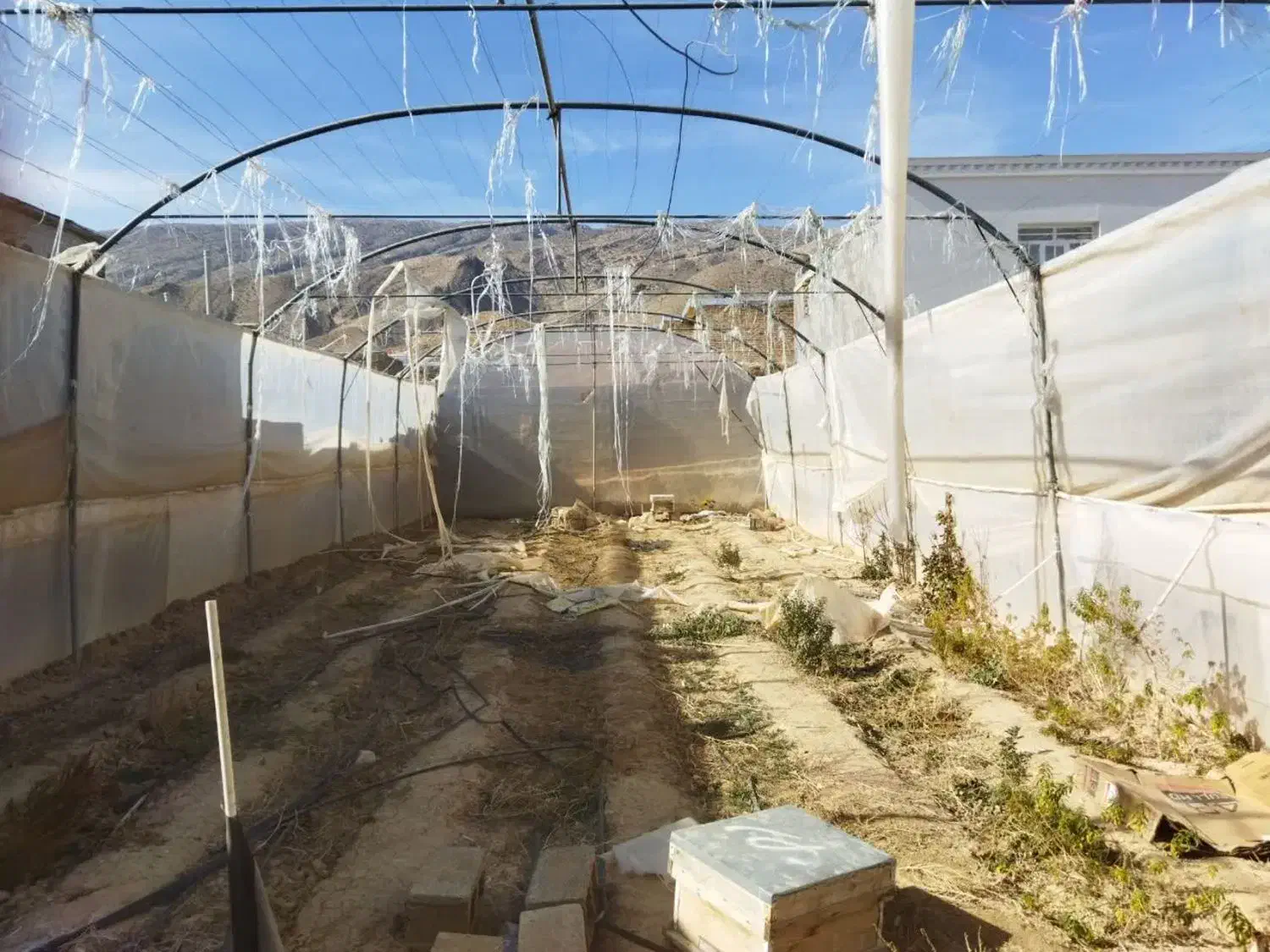 سازه گلخانه|ابزارآلات|رونیز, |دیوار