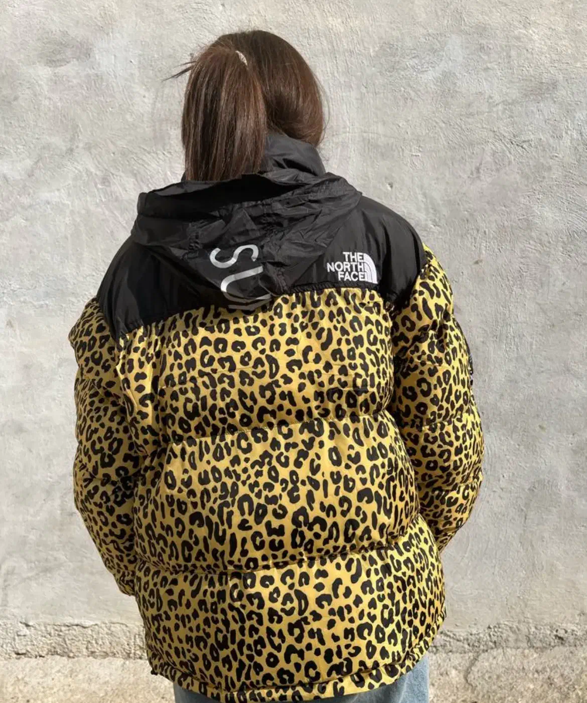 کاپشن|لباس|خواجه, |دیوار