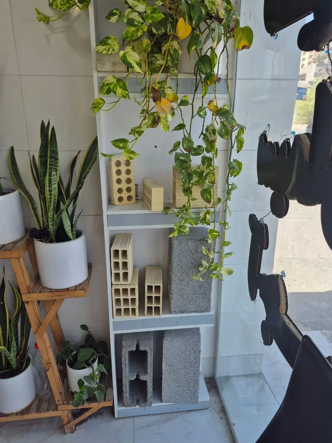 تولید بلوک و تیرچه و کلیه مصالح ساختمانی|مصالح و تجهیزات ساختمان|بندرعباس, |دیوار