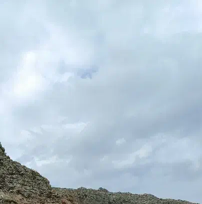 پرنده|حیوانات|بندر انزلی, شیلات|دیوار