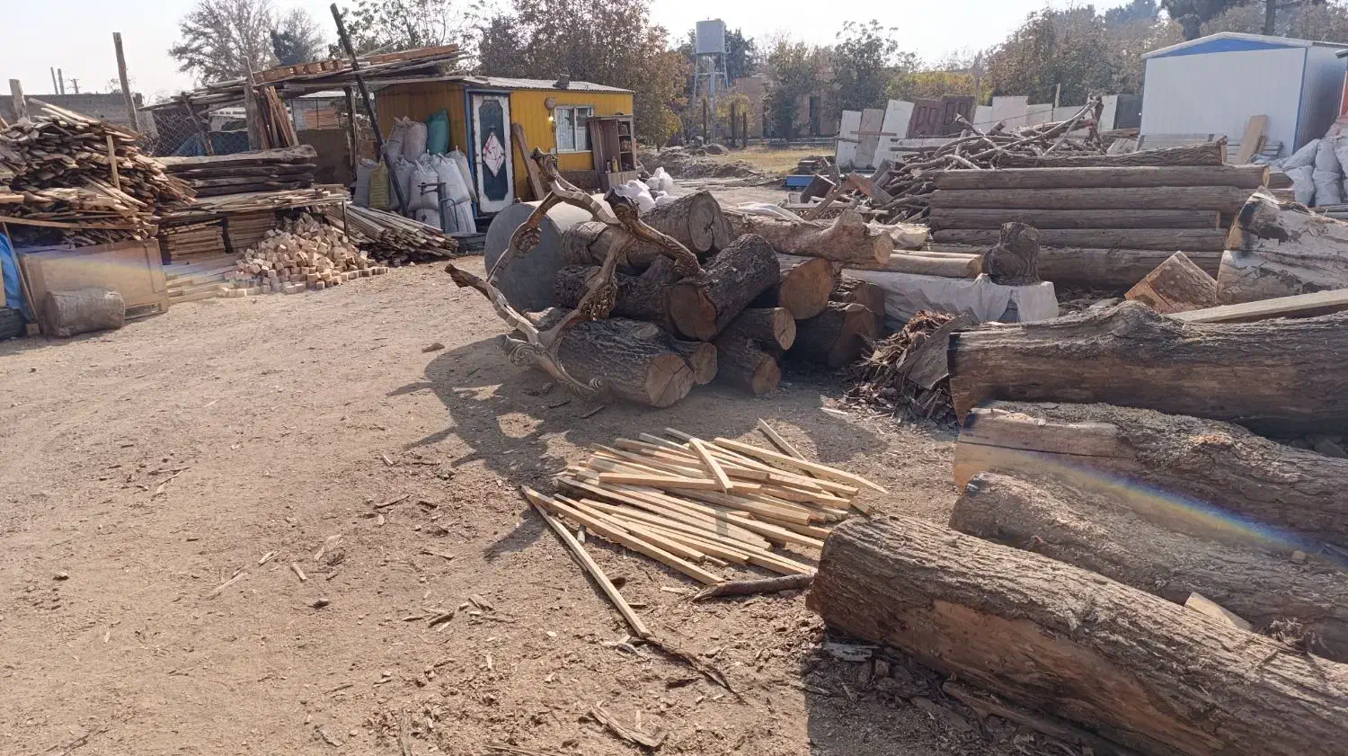 خریدار چوب هیزمی وصنعتی|خدمات باغبانی و درختکاری|احمدآبادمستوفی, |دیوار