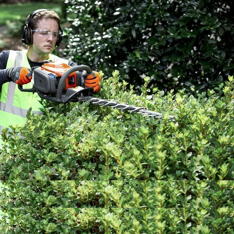 خدمات باغبانی لواسان فشم میگون شمشک درسراسر لواسان|خدمات باغبانی و درختکاری|لواسان, |دیوار