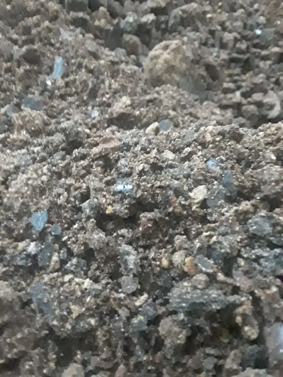 کنجالهجایگزینسویا|عمدهفروشی|کاشان, حسن آباد|دیوار