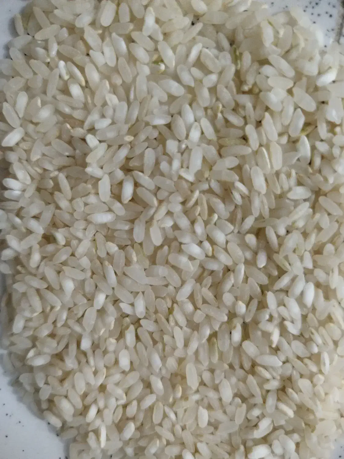 برنج درجه یک کامفیروزی|خوردنی و آشامیدنی|شیراز, کوشک میدان|دیوار