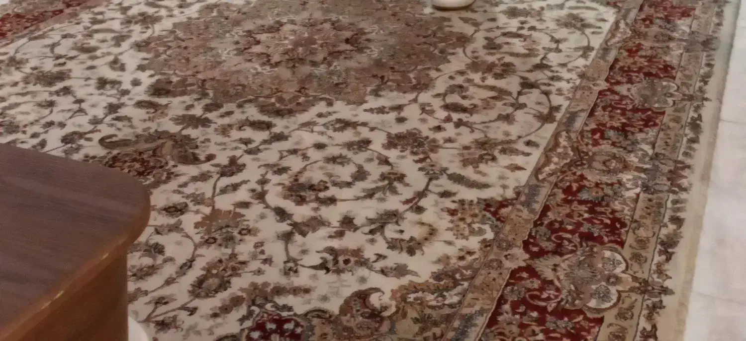 فرش ۶ متری|فرش|بابلسر, |دیوار