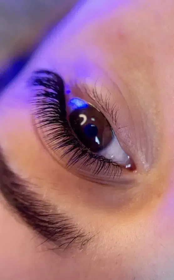 تخفیف اکستنشن مژه(شب یلدا)|خدمات آرایشگری و زیبایی|بجنورد, |دیوار