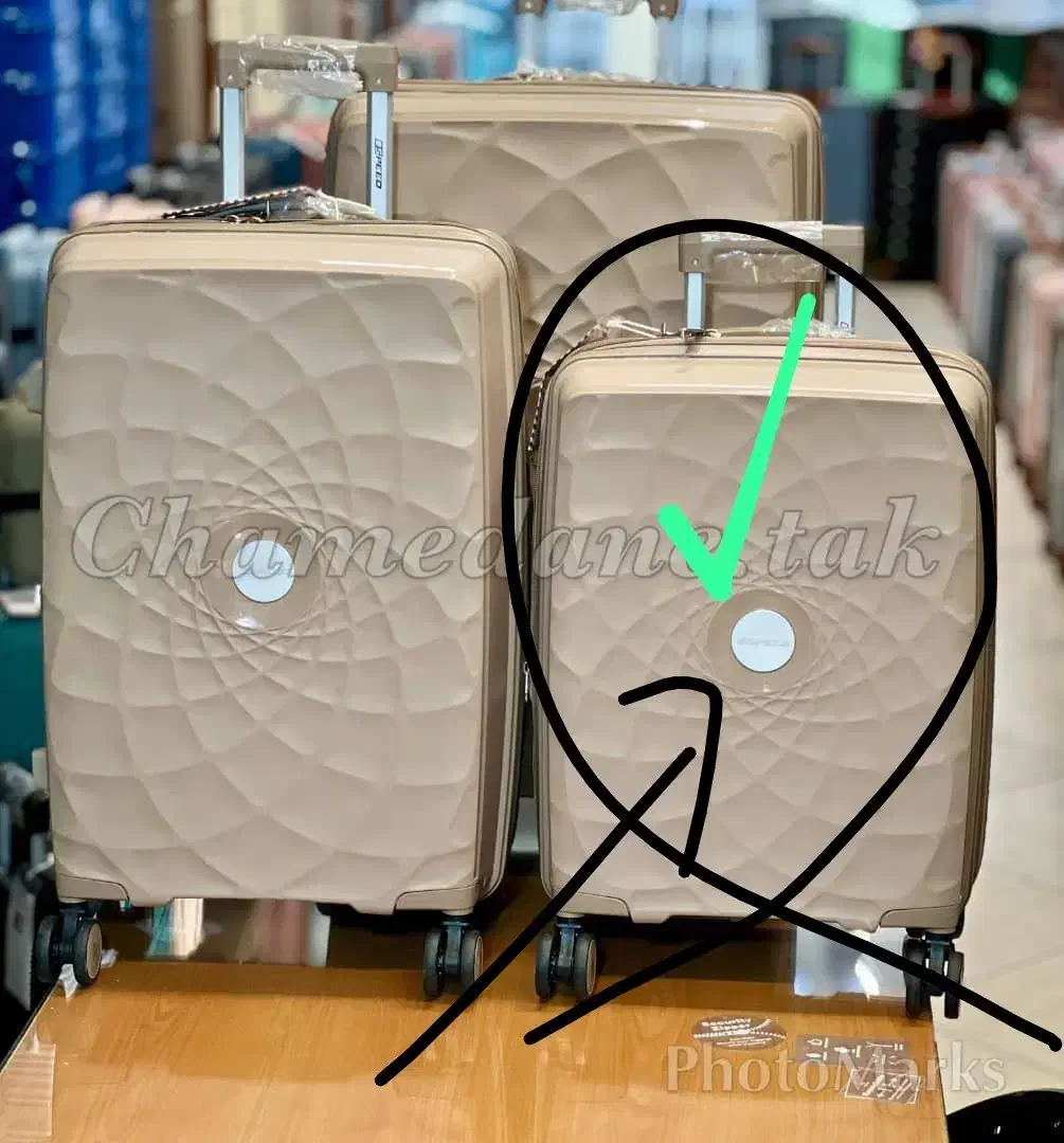 سایز کابین (20اینچ )ارسال از تهران|کیف، کفش، کمربند|پرند, فاز ۴|دیوار