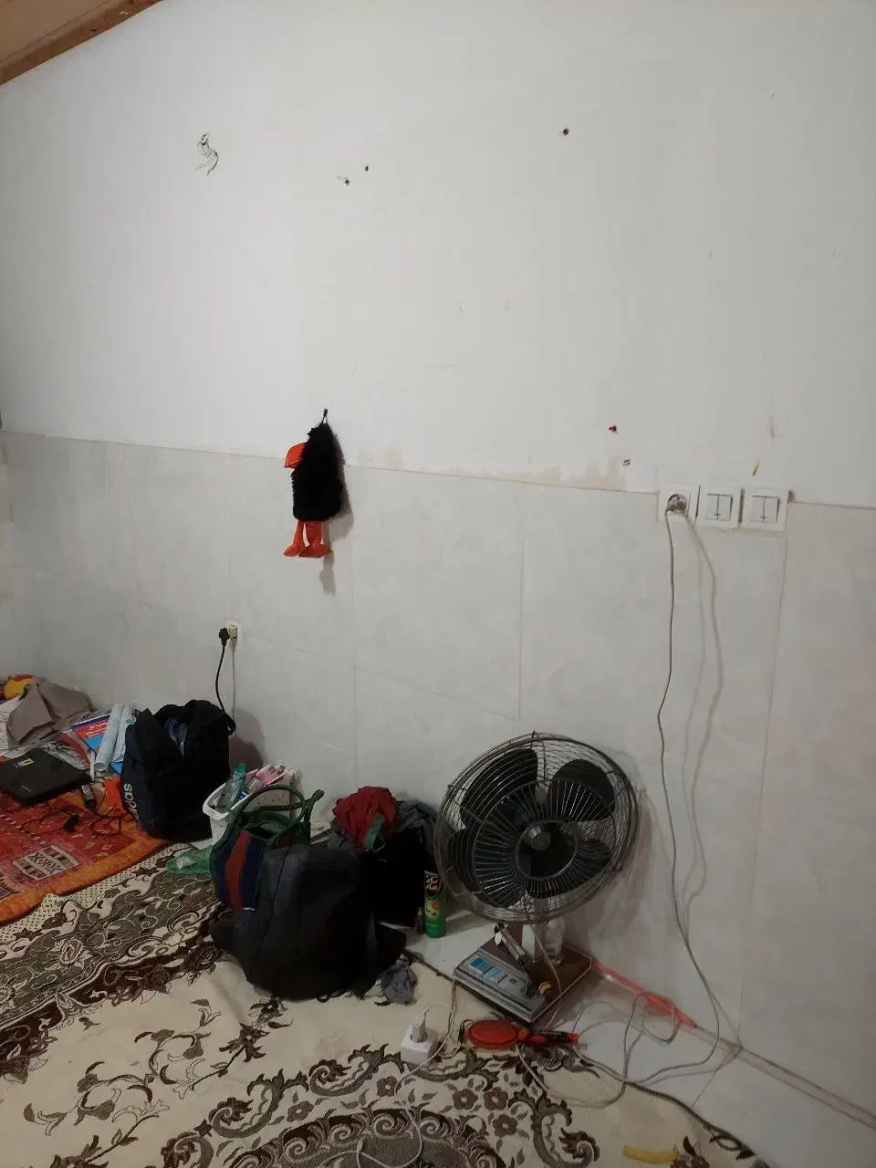 اجاره سوئیت آپارتمان45مترمحمودآباد|اجارهٔ آپارتمان|محمودآباد, |دیوار