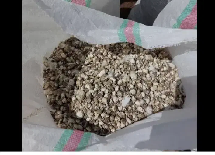 کود کبوتر وحشی|گل و گیاه طبیعی|ملکان, |دیوار