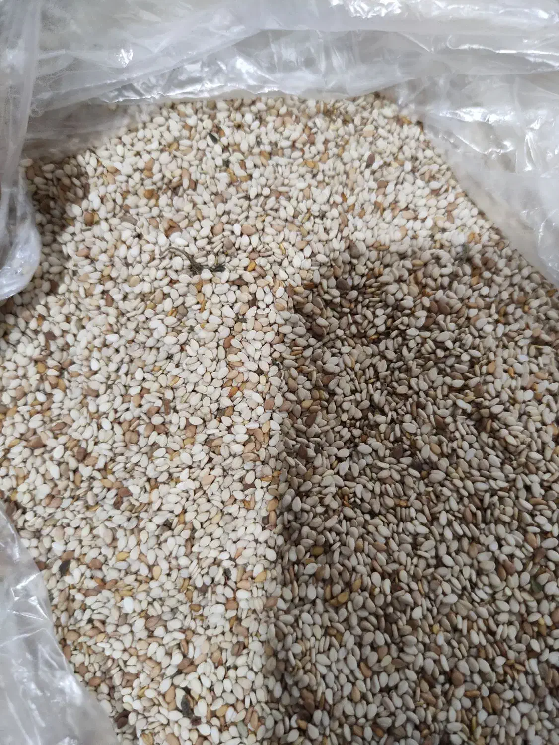 کنجد درجه یک|خوردنی و آشامیدنی|خان ببین, |دیوار