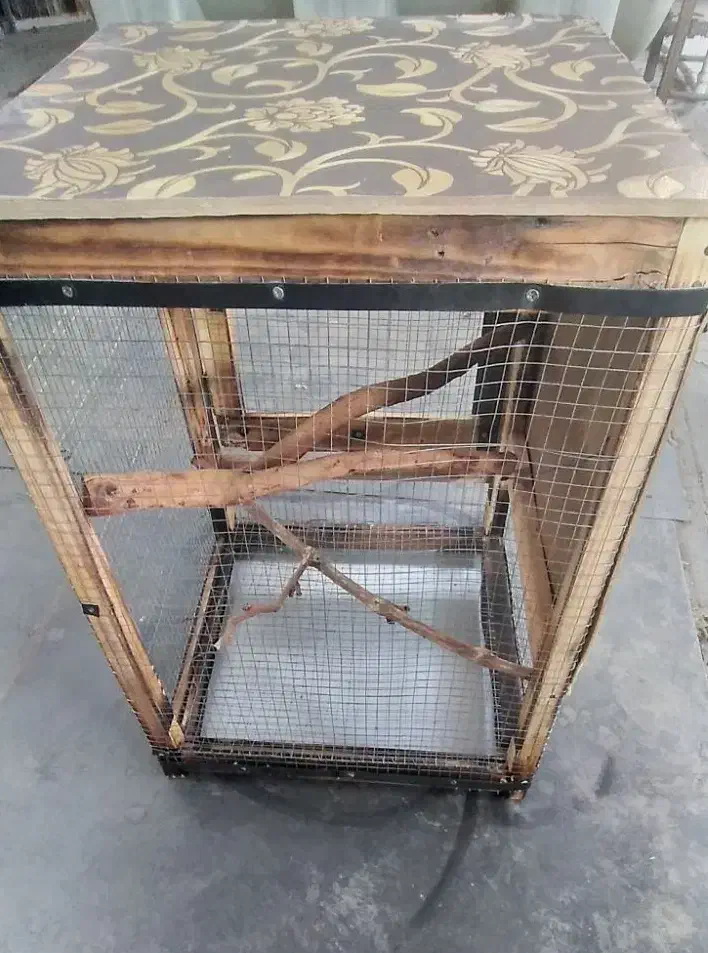 قفس چوبی|لوازم جانبی حیوانات|فردوسیه, |دیوار