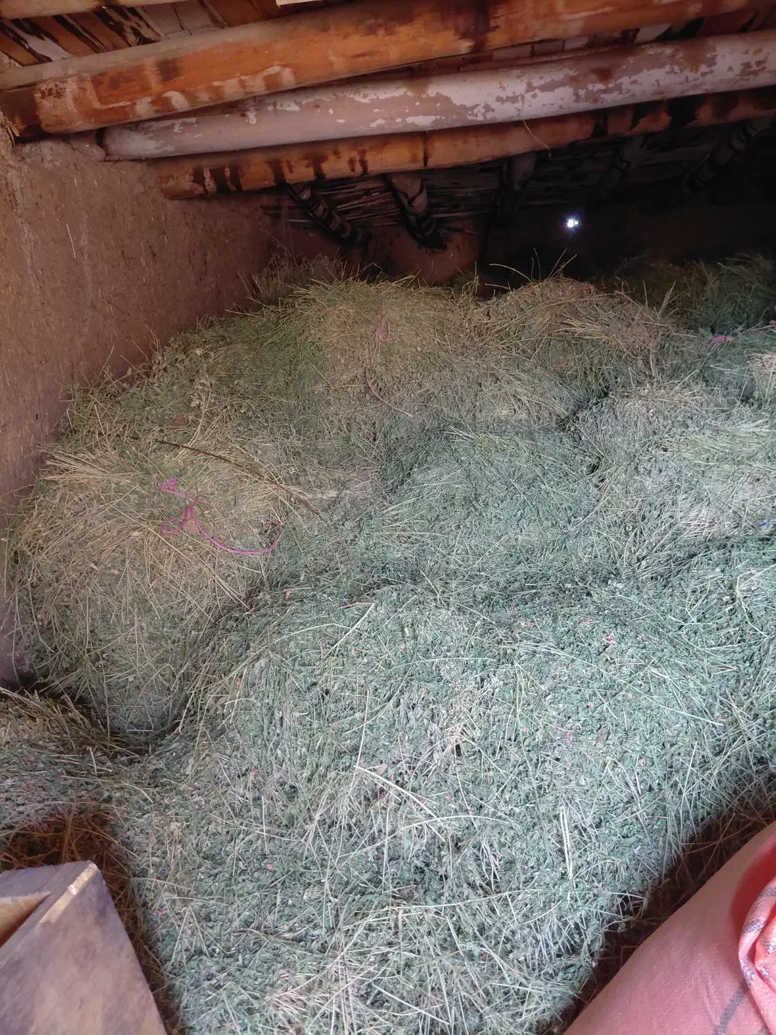 یونجه  بیده|لوازم جانبی حیوانات|تربت جام, میان جام|دیوار