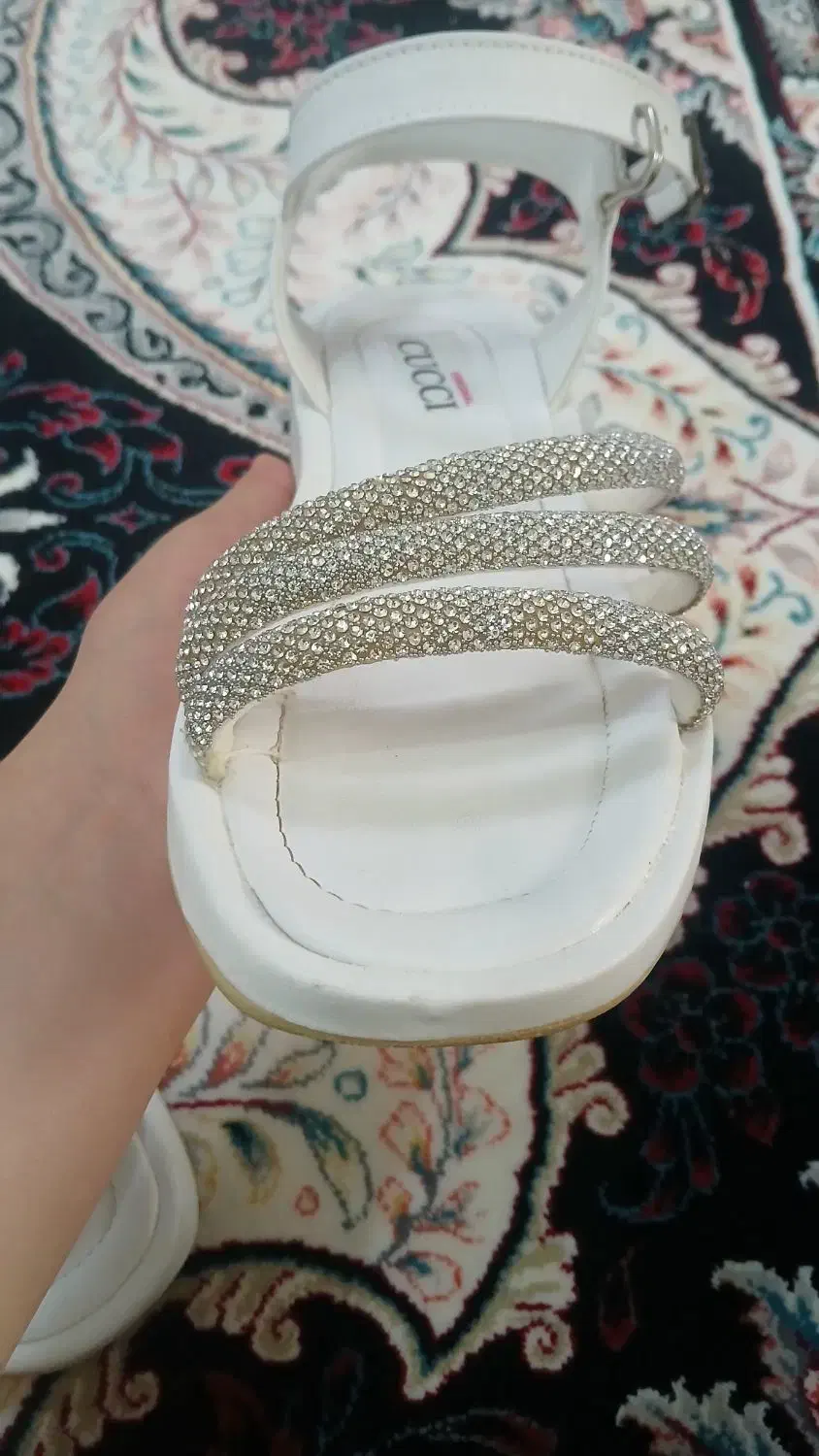 کفش مجلسی|کیف، کفش، کمربند|زنجان, |دیوار