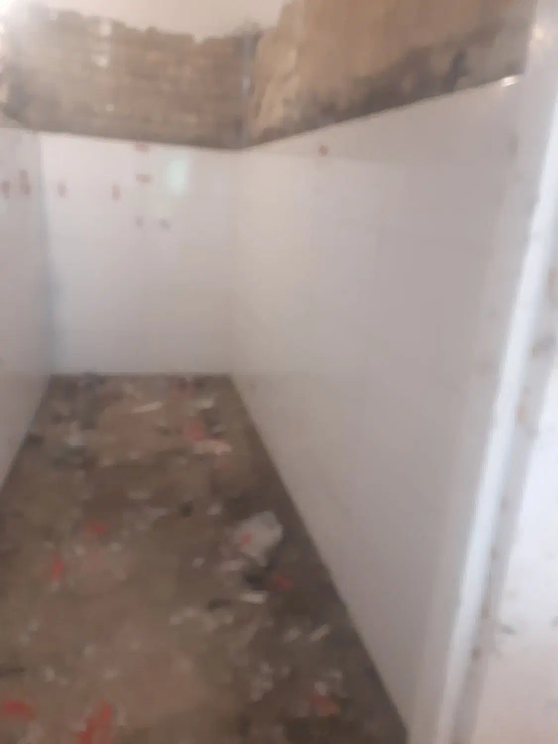 کاشی وسرامیک کار|خدمات پیشه و مهارت|تهران, آسمان|دیوار