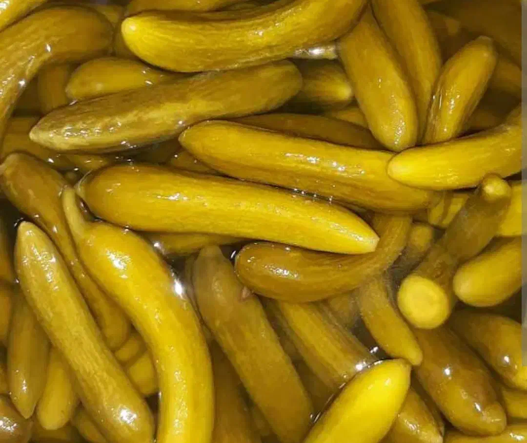 خیارشور|خوردنی و آشامیدنی|شیراز, ریاستی|دیوار