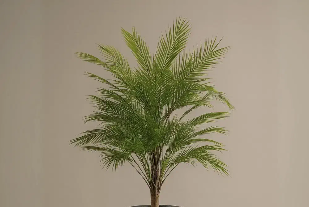 درختچه مصنوعی|گل مصنوعی|گرگان, |دیوار