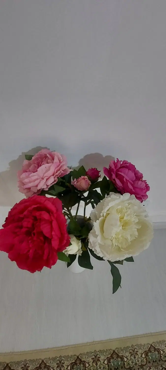 گل نو|گل مصنوعی|ارومیه, |دیوار
