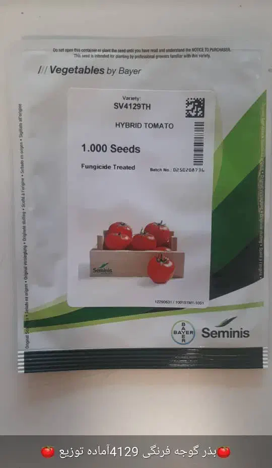 فروش وتامین بذر فلفل دلمه ای وغیره|خدمات باغبانی و درختکاری|شاهینشهر, حافظ جنوبی|دیوار